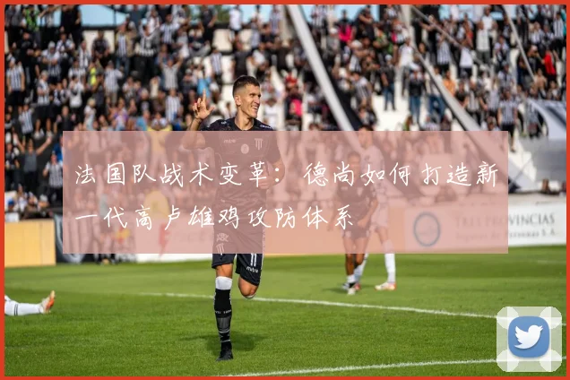 法国队战术变革：德尚如何打造新一代高卢雄鸡攻防体系