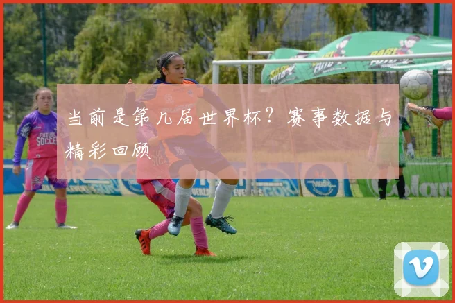 当前是第几届世界杯？赛事数据与精彩回顾