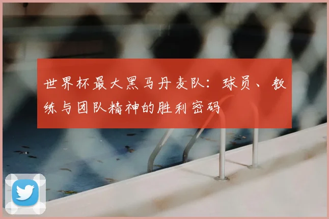 世界杯最大黑马丹麦队：球员、教练与团队精神的胜利密码